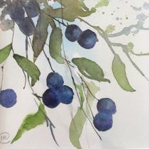 Sloe berries diagonally hanging against a pale blue background.