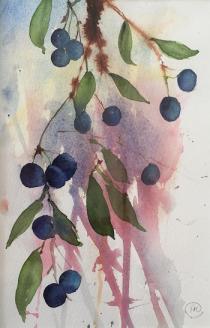 Sloes againsta pink/blue/mauve background with leaves