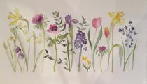 Spring Flowers