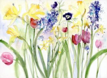Daffodils, tulips and hyacinths - a mass of Spring flowers