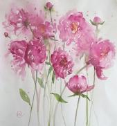 Pink peonies swaying together in the border