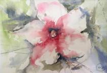 Large rose head surrounded by green/blue leaves.