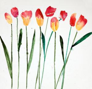 Tulip Collage