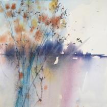 Blue pink background glimpsed through tall russet coloured reeds