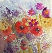 Poppies and other wild flowers growing together.