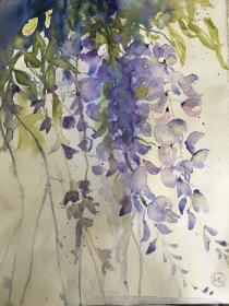 Purple wisteria blooms in a mass of trailing petals