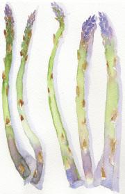 asparagus1