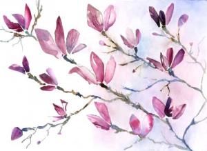 Magmolia_Collage