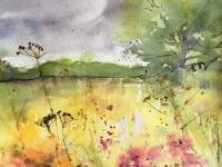 Across the Meadow Meadow flowers and grasses with bank of distant trees and large tree