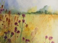 Summer Meadow 1 Yellow field with trees beyond and thistles and flowers in teh foreground