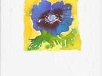 Anemone Anemone