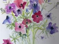 Fragility Pink and blue anemones against a white background with sea thistle
