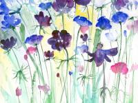 Anemones Anemones