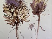 Artichokes Two artichokes in ink and watercolour against a white background.