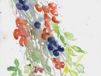 Autumn Fruits Autumn Fruits