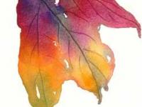 Autumn_leaf_7 Autumn_leaf_7
