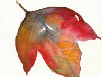 Autumn_leaf_6 Autumn_leaf_6