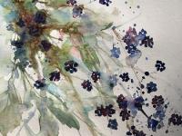 Blackberry Picking Blue black berries against a variety of background greens