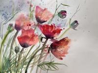 Blowing in the Wind Pink poppies bending over to the right in the wind.