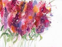 Bursting_Colour Bursting_Colour