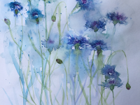 Meadow Cornflowers Blue cornflowers against a pale blue background