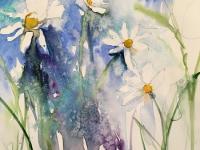 Daisies in the Meadow White daisies amongst colours of meadow flowers; blue background