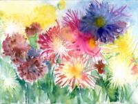 Dancing Dahlias Dancing Dahlias