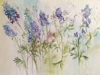 Delphinium symphony Blue/mauve delphiniums growing together
