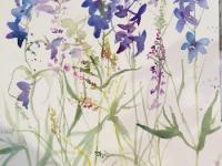 Delphiniums and Meadow Grasses Blue delphiniums interspersed with grasses and sorrel