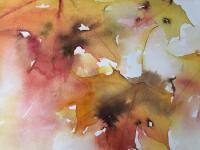 Drifting Leaves Yellows, oranges and reds in flling Autumn leaves