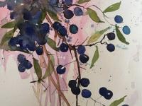 Sloes in the Early morning A pink glow surrounds these blue/purple sloes
