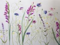 Gladioli, cornflowers, buttercups