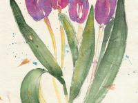 Early_Spring_Tulips Early_Spring_Tulips