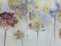 Fading Beauty Hydrangea heads at the end of their life