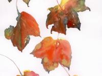 Falling Leaves Falling Leaves