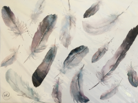 Drifting Feathers 2 Assorted grey/blue feathers scattered together