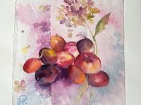 Fruit and Flowers Plums and nectarines collaged onto a pink/pale blue background with a painted pi
