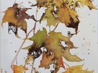 Golden Leaves Yellow/gold autumn leaves tumbling downwards