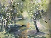 Great Wilbraham Common Hawthorn trees in blossom with path between
