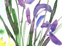 Irises 2 Irises 2