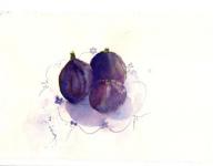 Figs on Patterned Plate Three figs on blue patterned plate