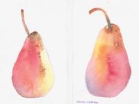 A_Pair_Of_Pears A_Pair_Of_Pears