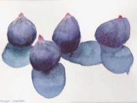 Figs 1 Figs 1