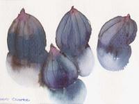 figs 2 figs 2