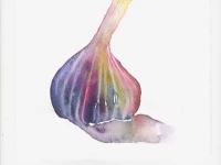 garlic garlic