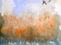 Flying Home Birds flying across golden reeds and water Wicken Fen