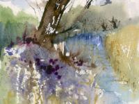 Early Summer at Wicken Fen Old tree leaning into the water with flowers on bank in foreground