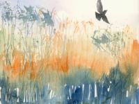 lFlight Across Glistening Reedbeds Bird flying across orange reeds and blue water