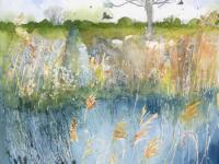 Reeds and Birds Wicken Fen Blue water, reeds, birds distant trees . Wicken Fen