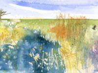 Reeds in Spring Sunshine Blue water/ Wicken Fen with orange/gold reeds, bird and distant trees
